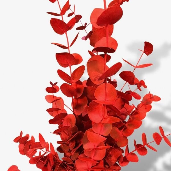 bouquet eucalyptus rouge
