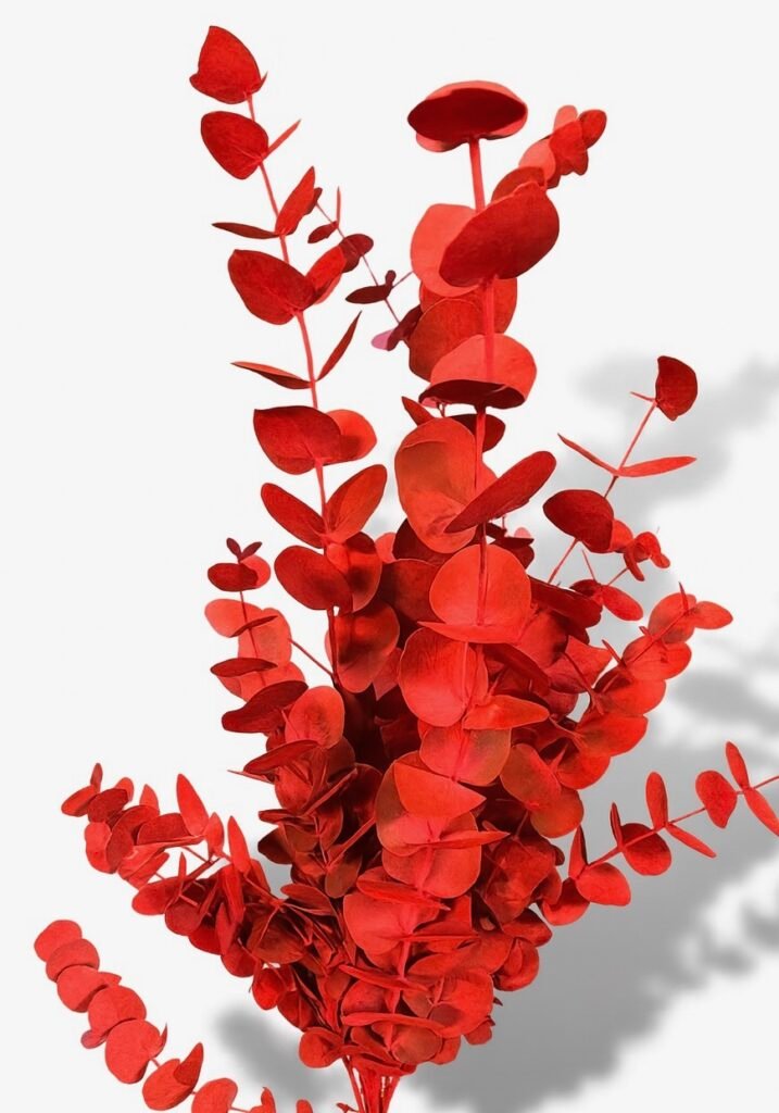 bouquet eucalyptus rouge