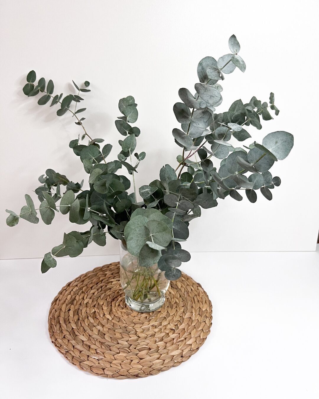 image article acheter eucalyptus frais pour Eucalyptus Varois