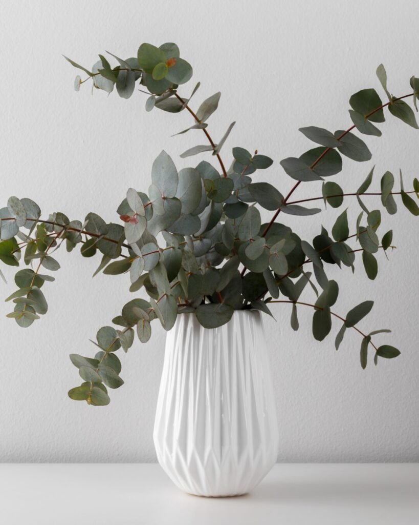 conserver un bouquet d’eucalyptus