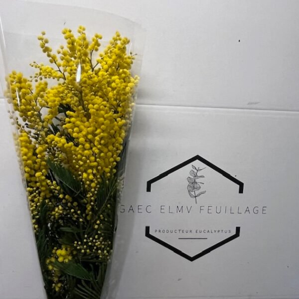 bouquet mimosa 150g