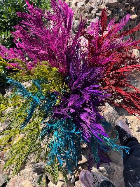 mimosa arc en ciel bouquet coloré